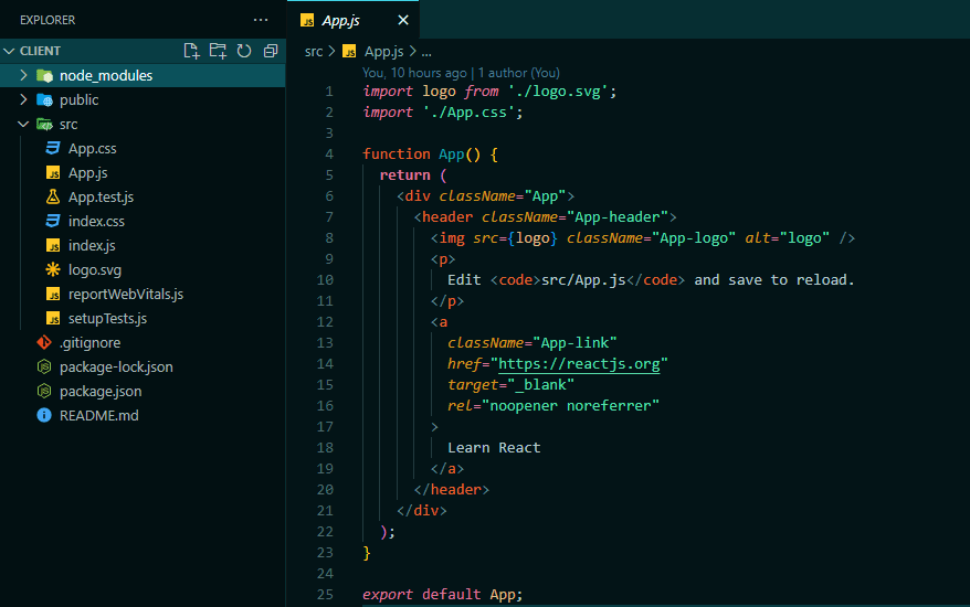 Folder structure of the newly created React app open in Visual Studio Code