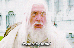 Gandalf standing on a bridge, blocking the way with his staff