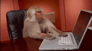 A programmer typing quickly at a keyboard
